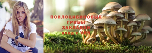 индика Нефтегорск