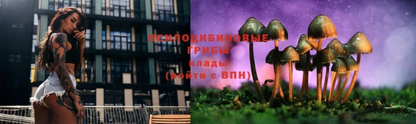 ALPHA-PVP Нефтекумск