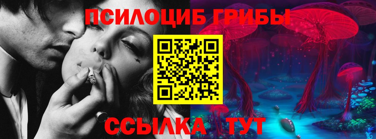 Галлюциногенные грибы мицелий Краснодар